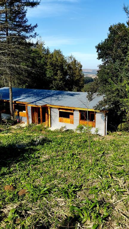 Evergreen Cabin Karkloof Yarrow Eksteriør billede